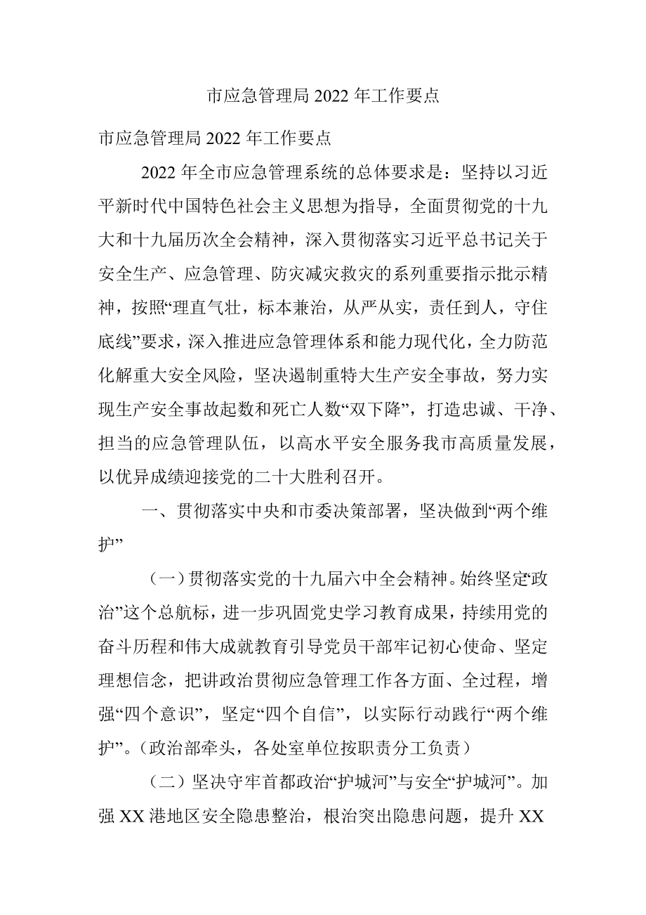 市应急管理局2022年工作要点.docx_第1页