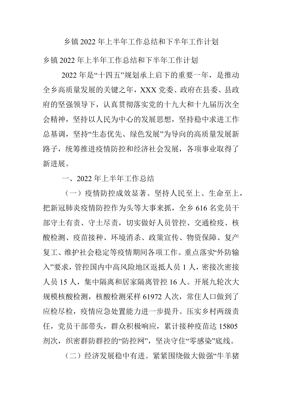 乡镇2022年上半年工作总结和下半年工作计划_1.docx_第1页