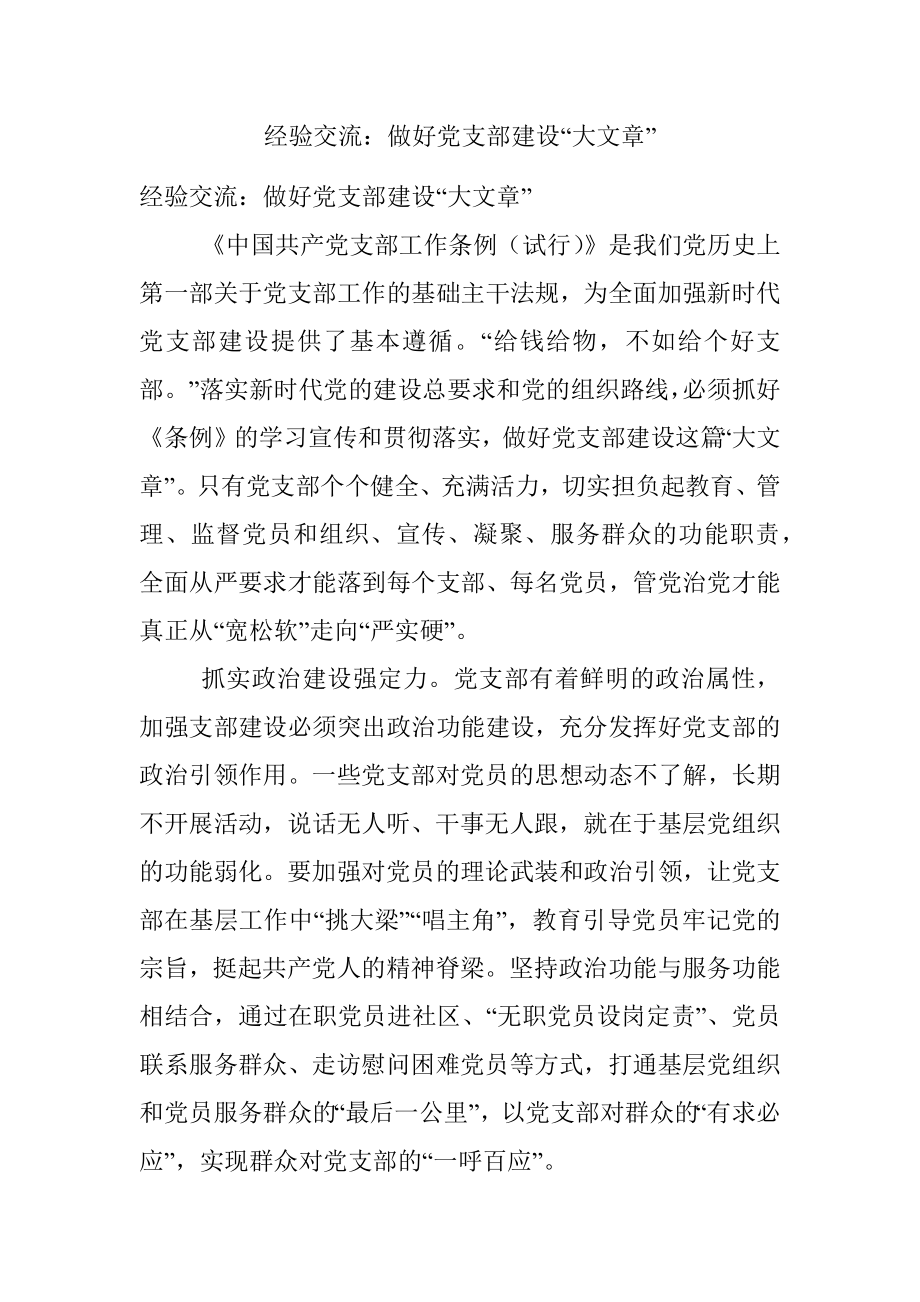 经验交流：做好党支部建设“大文章”.docx_第1页