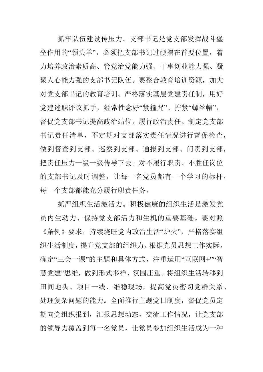 经验交流：做好党支部建设“大文章”.docx_第2页