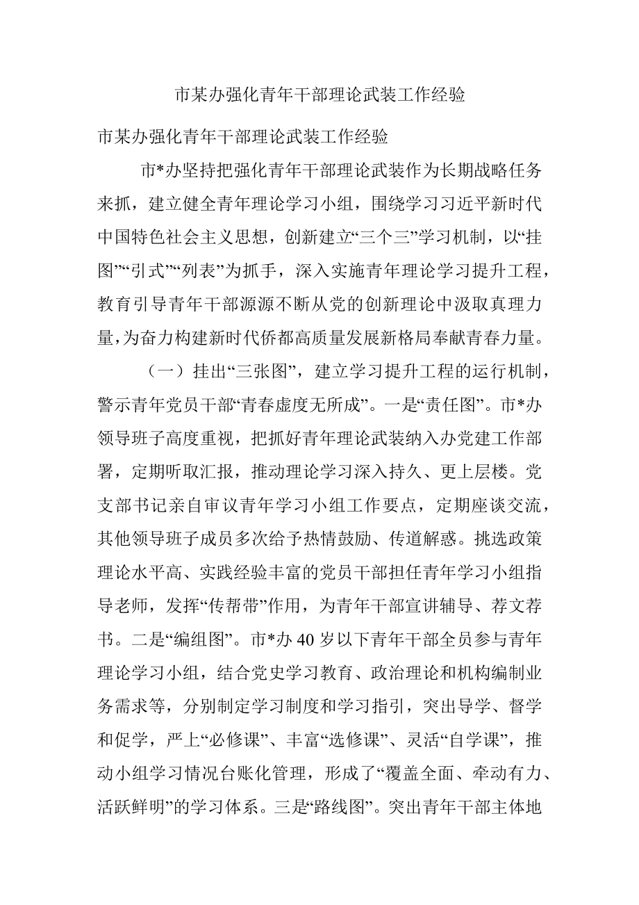 市某办强化青年干部理论武装工作经验.docx_第1页