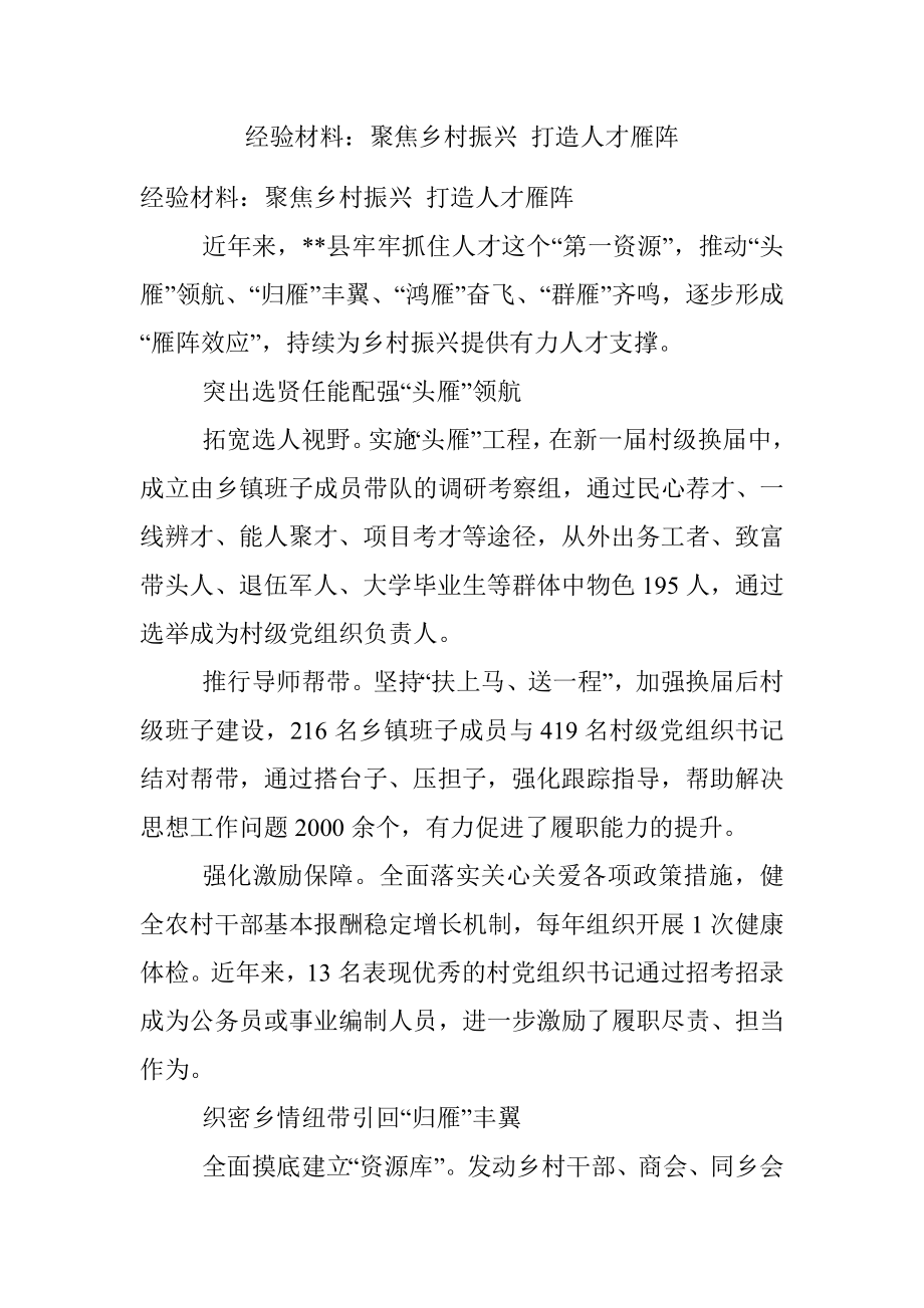 经验材料：聚焦乡村振兴 打造人才雁阵.docx_第1页