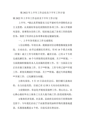 镇2022年上半年工作总结及下半年工作计划_1.docx