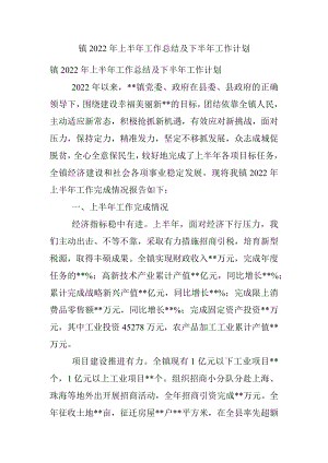 镇2022年上半年工作总结及下半年工作计划.docx