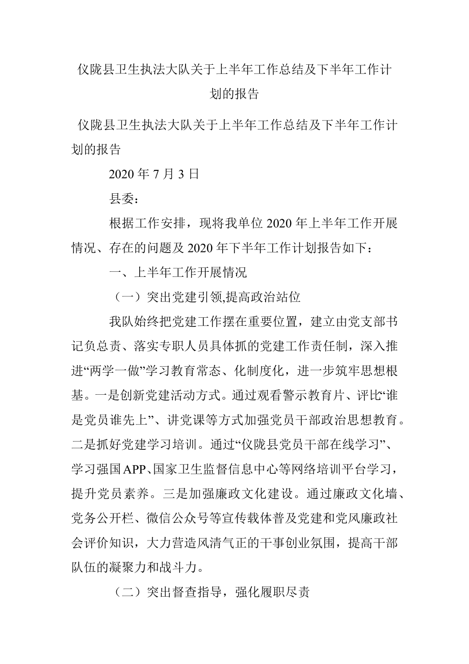 仪陇县卫生执法大队关于上半年工作总结及下半年工作计划的报告.docx_第1页