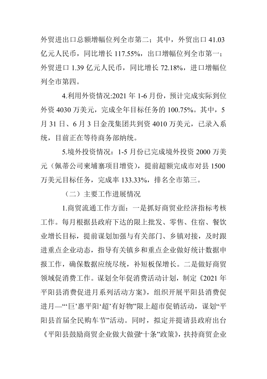 2021年上半年工作总结和下半年工作思路.docx_第2页