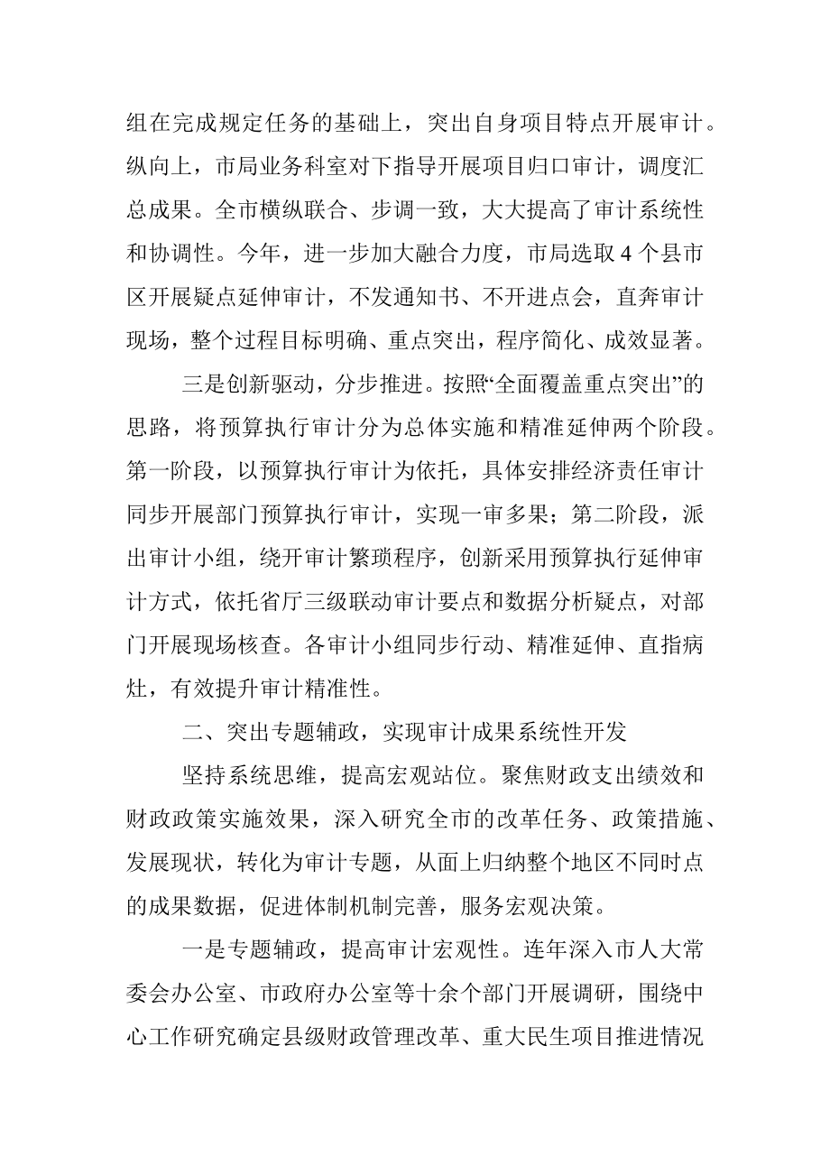 财政审计工作经验材料.docx_第2页