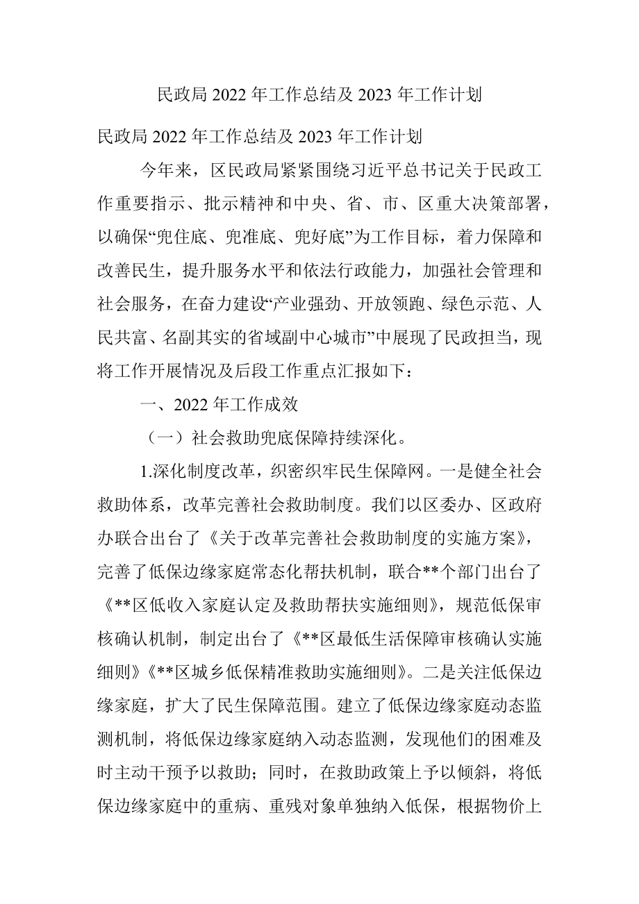 民政局2022年工作总结及2023年工作计划.docx_第1页