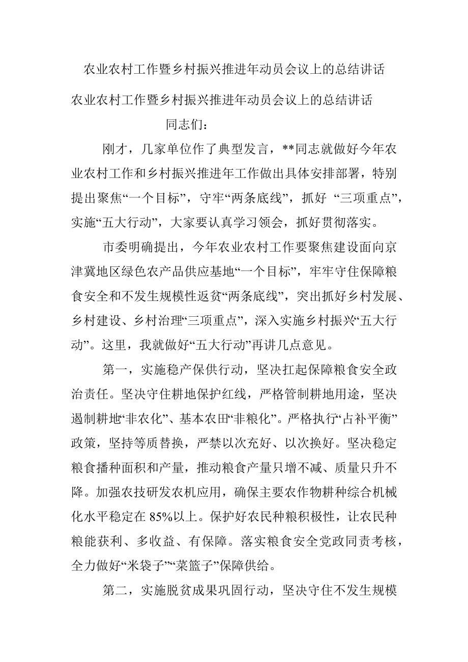 农业农村工作暨乡村振兴推进年动员会议上的总结讲话.docx_第1页