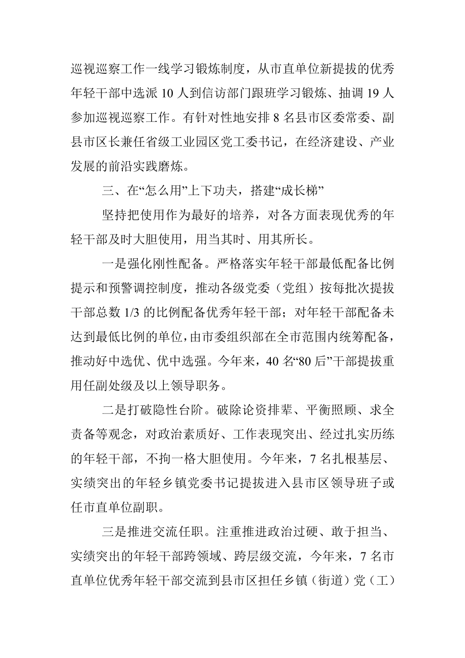 年轻干部培养选拔经验交流材料.docx_第3页