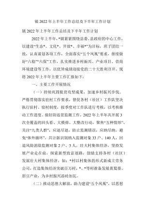 镇2022年上半年工作总结及下半年工作计划   .docx