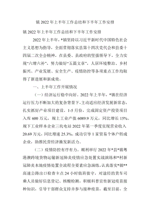 镇2022年上半年工作总结和下半年工作安排_3.docx