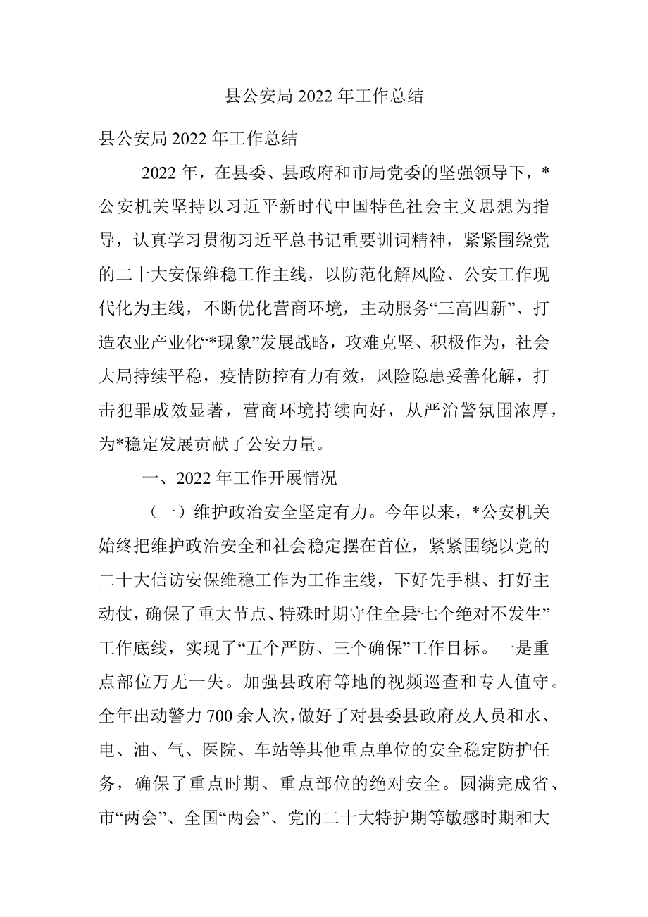 县公安局2022年工作总结.docx_第1页