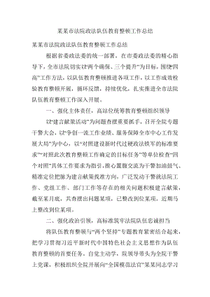 某某市法院政法队伍教育整顿工作总结.docx