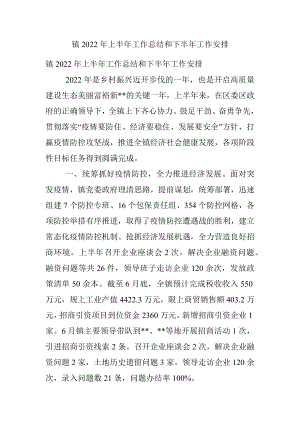 镇2022年上半年工作总结和下半年工作安排_4.docx