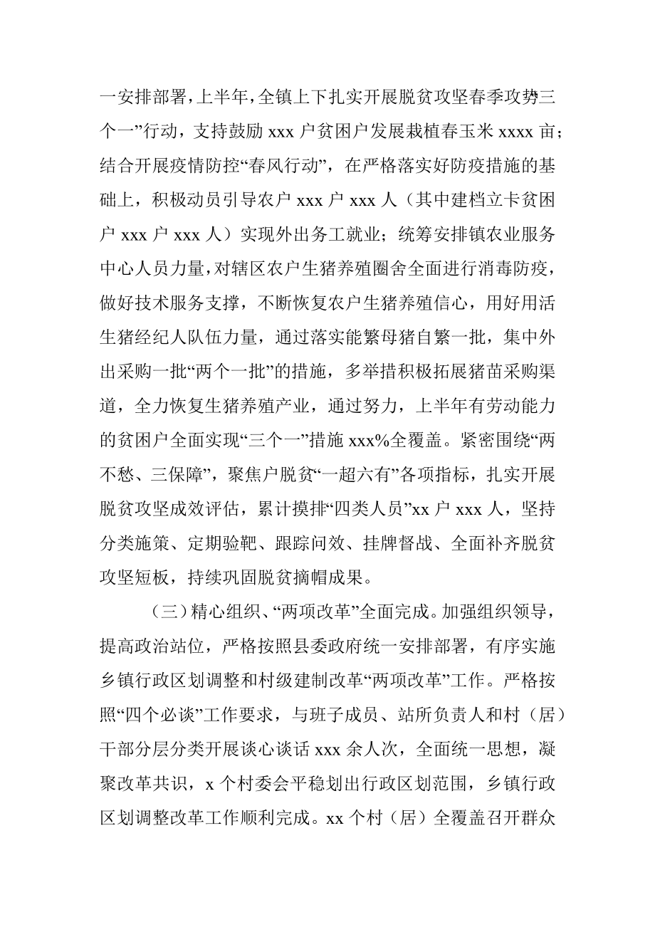 2020年上半年工作总结及下半年工作计划（乡镇）.docx_第2页