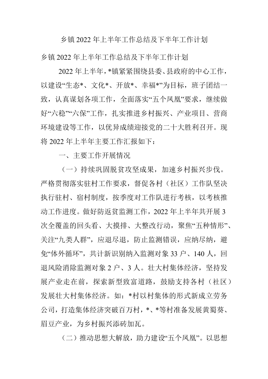 乡镇2022年上半年工作总结及下半年工作计划.docx_第1页