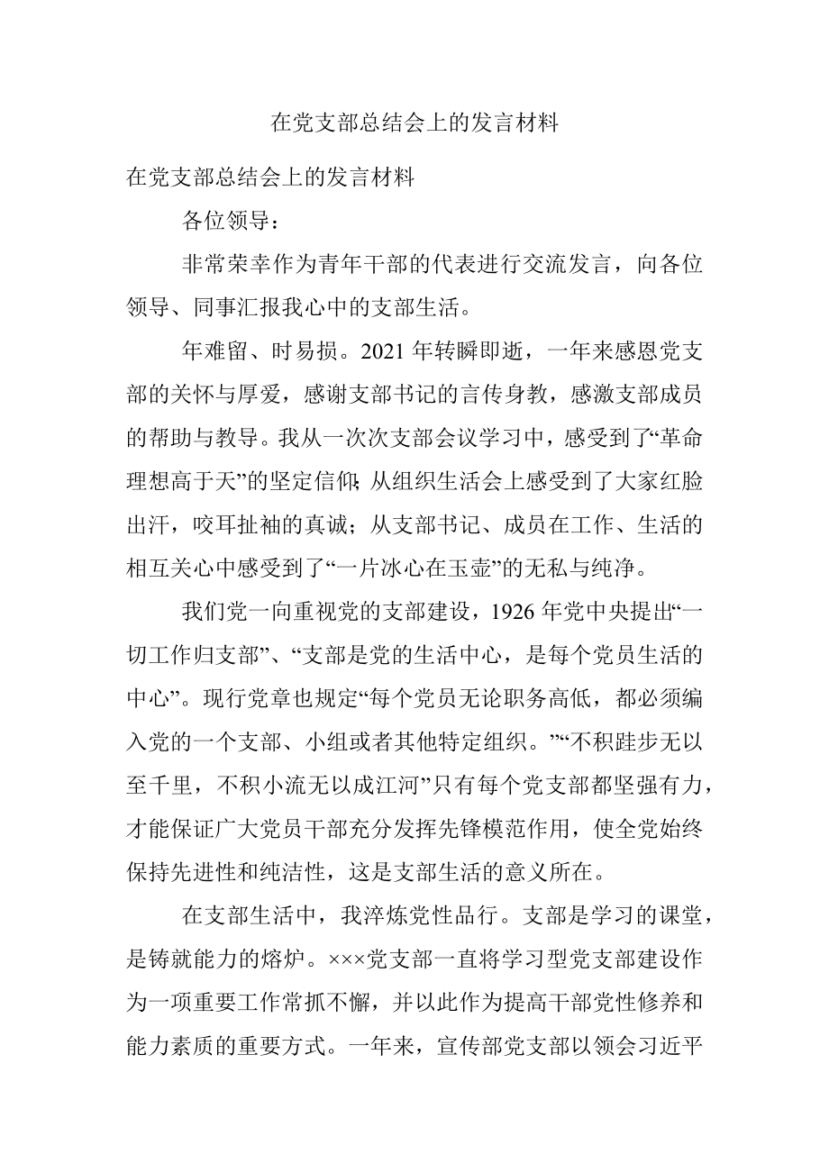 在党支部总结会上的发言材料.docx_第1页