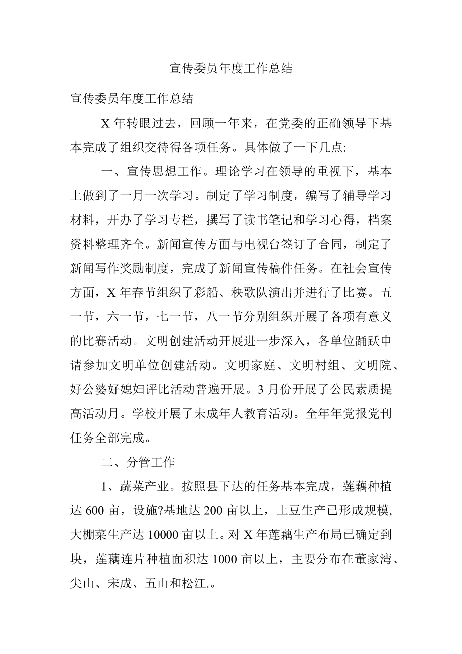 宣传委员年度工作总结.docx_第1页