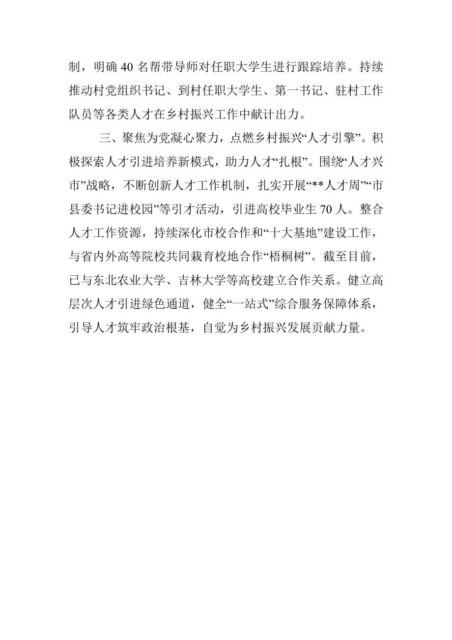 乡村振兴人才队伍建设介绍.docx_第2页