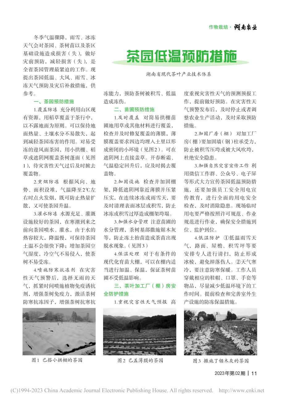 茶园低温预防措施.pdf_第1页