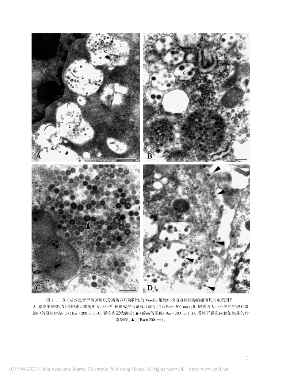 陈德蕙先生部分研究工作图片展示.pdf_第2页