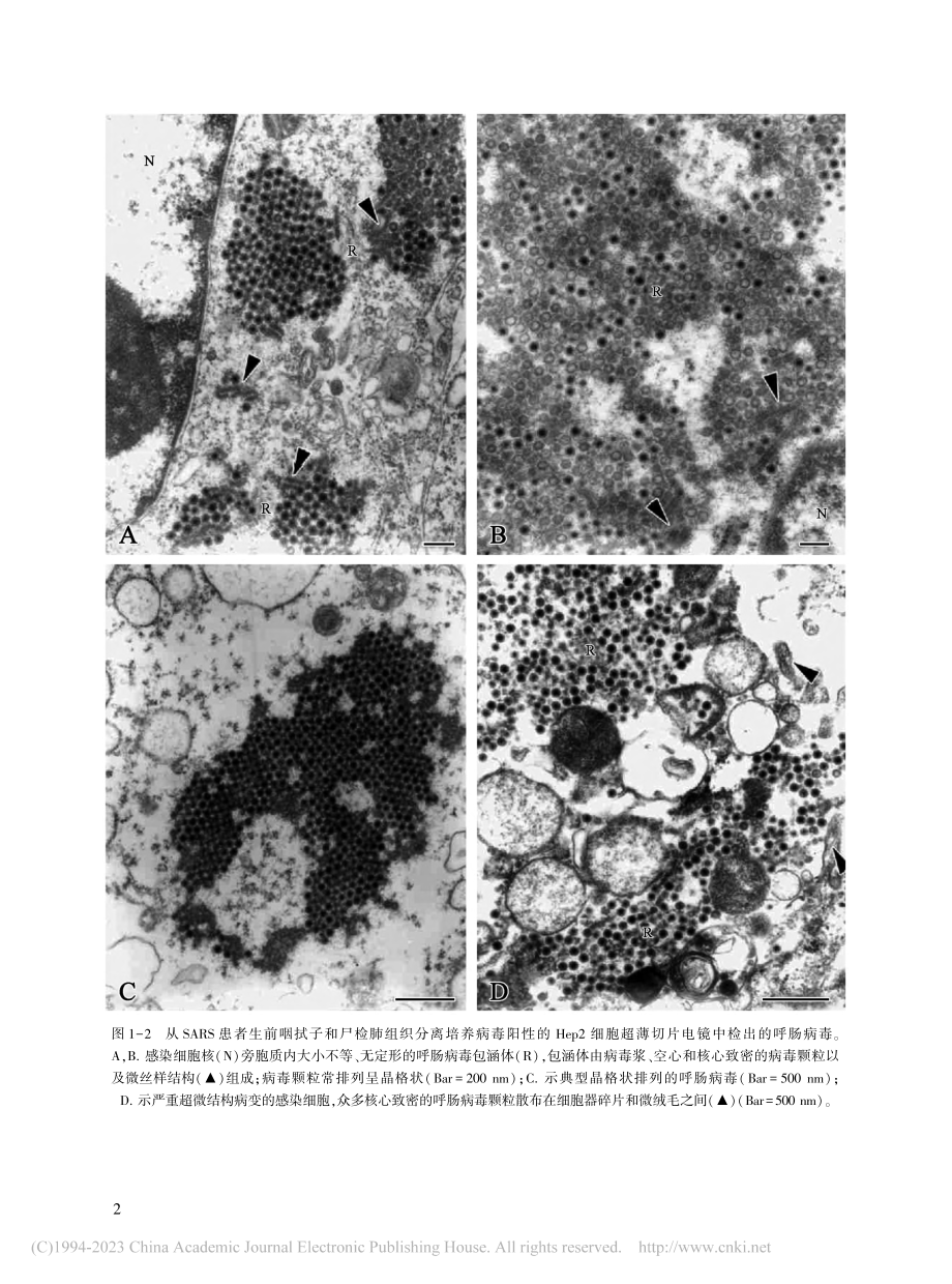 陈德蕙先生部分研究工作图片展示.pdf_第3页