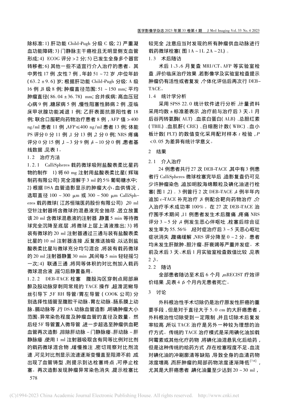 CalliSpheres载...脉栓塞治疗大肝癌的临床评价_邱忠华.pdf_第2页