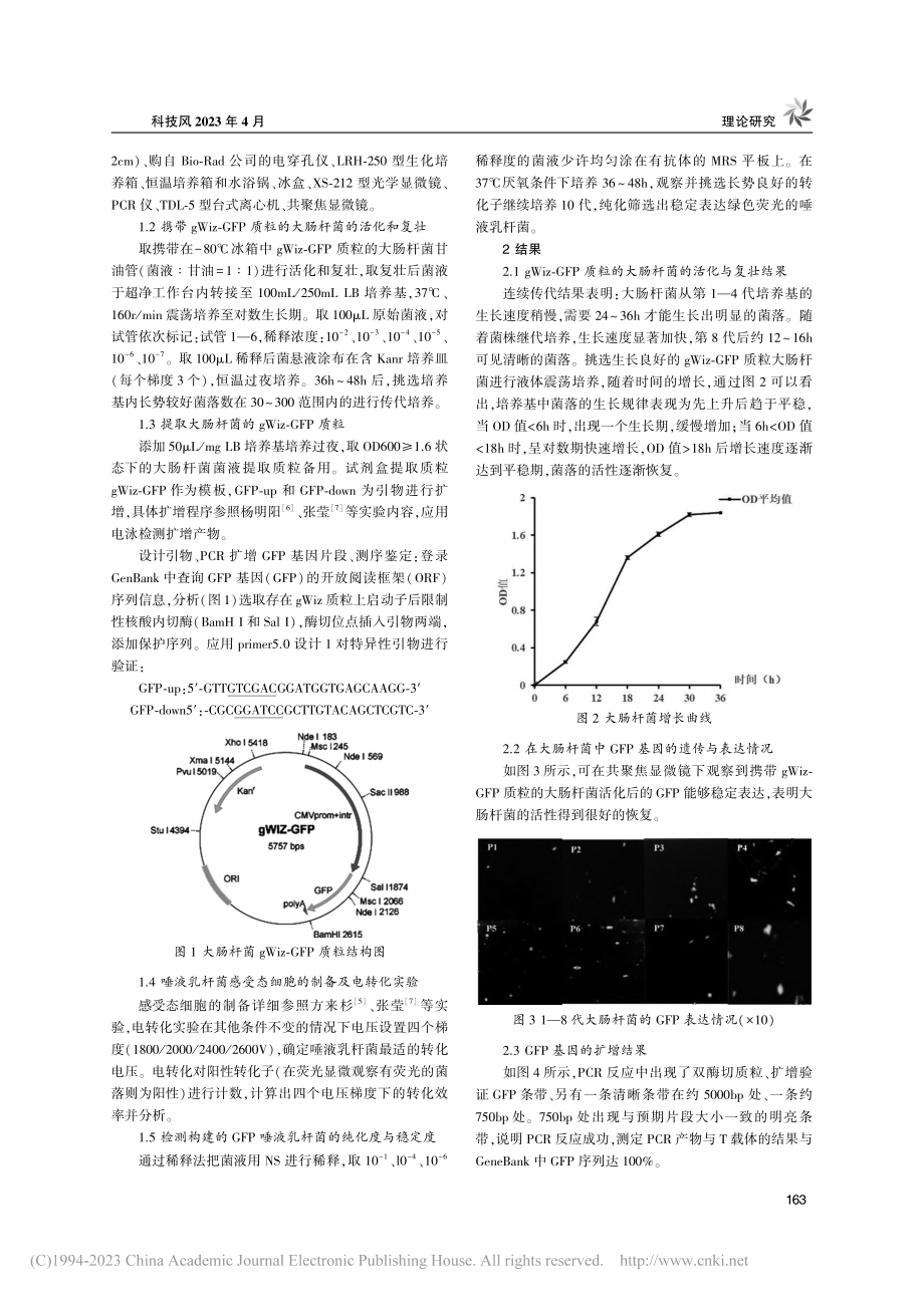 GFP唾液乳杆菌CCFM6105的构建_高彤.pdf_第2页