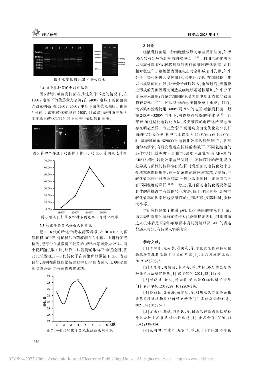 GFP唾液乳杆菌CCFM6105的构建_高彤.pdf_第3页