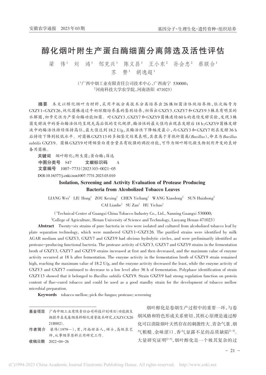 醇化烟叶附生产蛋白酶细菌分离筛选及活性评估_梁伟.pdf_第1页