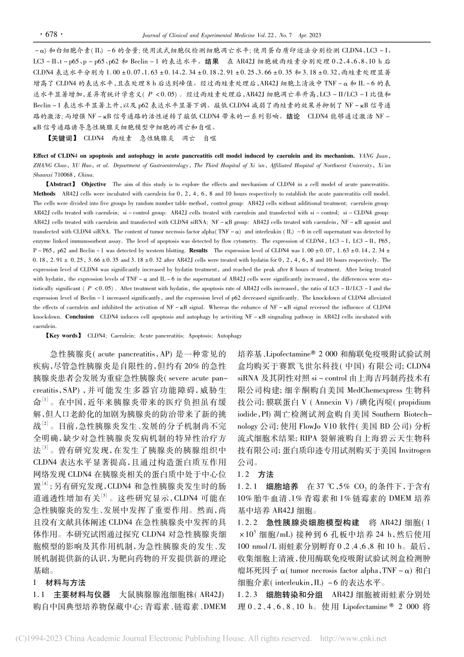 CLDN4对雨蛙素诱导的急...亡和自噬的影响及其机制研究_杨娟.pdf_第2页