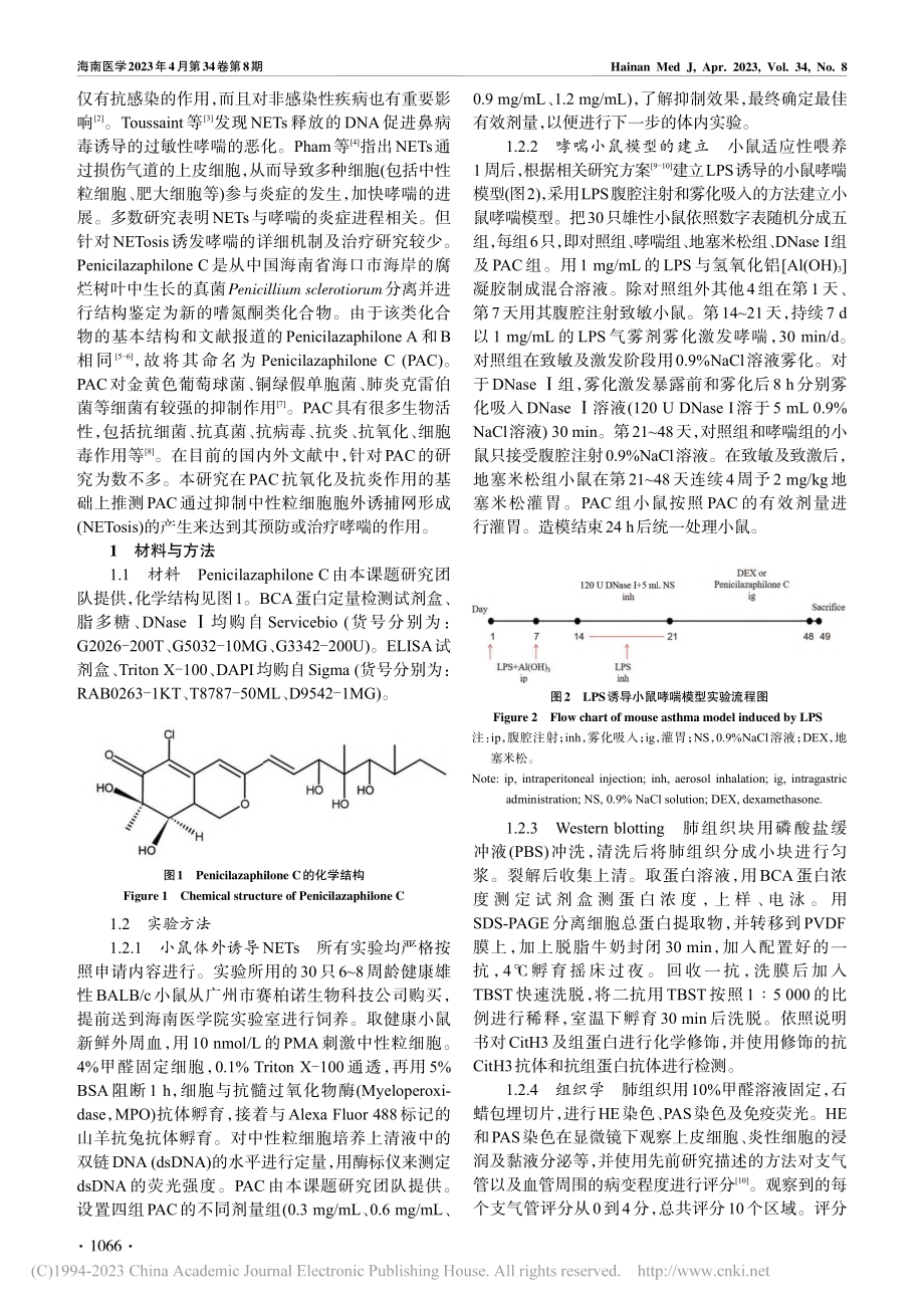 Penicilazaphi...is诱导哮喘炎症的机制研究_黄俊敏.pdf_第2页