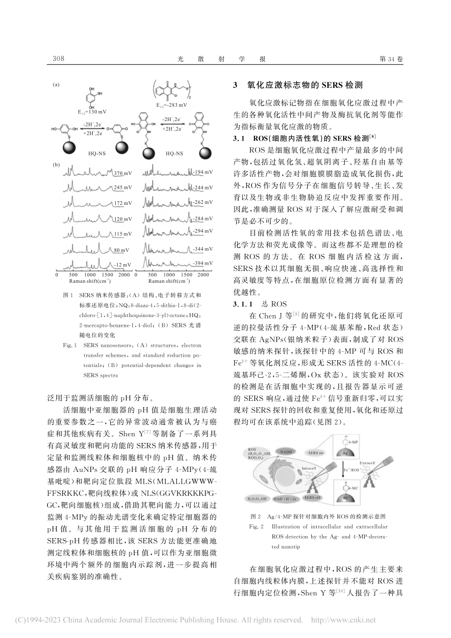 表面增强拉曼光谱法在细胞氧化应激检测过程中的应用_杨星瑞.pdf_第3页