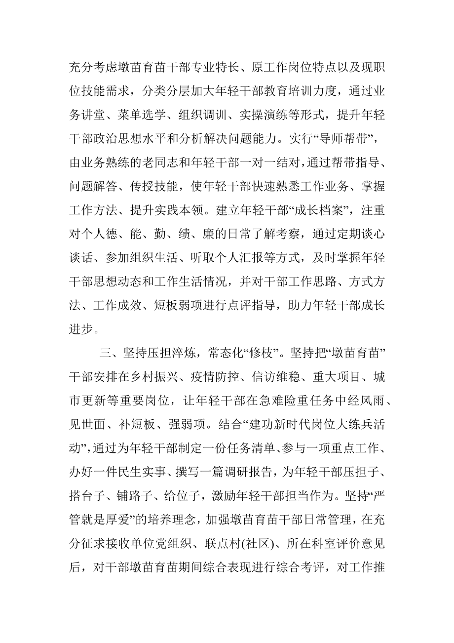 年轻干部双向墩苗工作介绍.docx_第2页