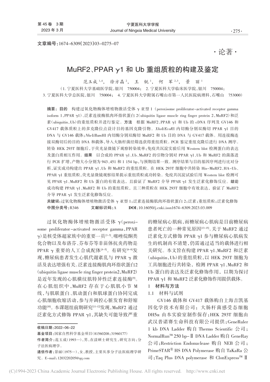 MuRF2、PPAR_γ1和Ub重组质粒的构建及鉴定_范玉成.pdf_第1页