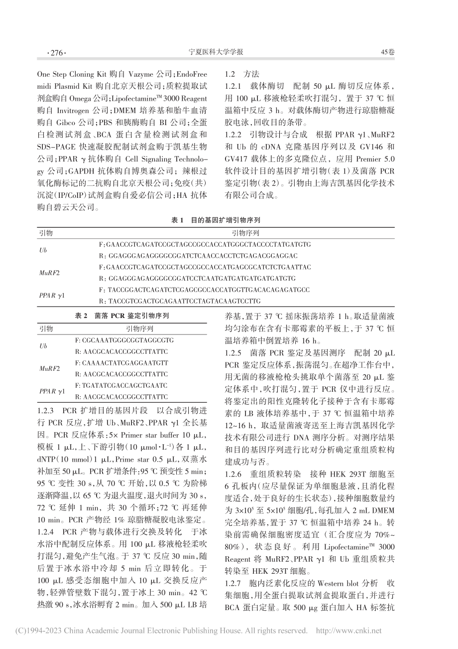 MuRF2、PPAR_γ1和Ub重组质粒的构建及鉴定_范玉成.pdf_第2页