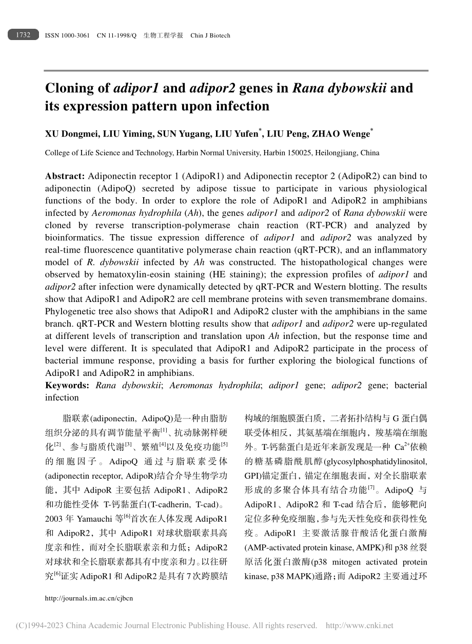 东北林蛙adipor1和a...克隆及其在感染中的表达分析_许冬梅.pdf_第2页