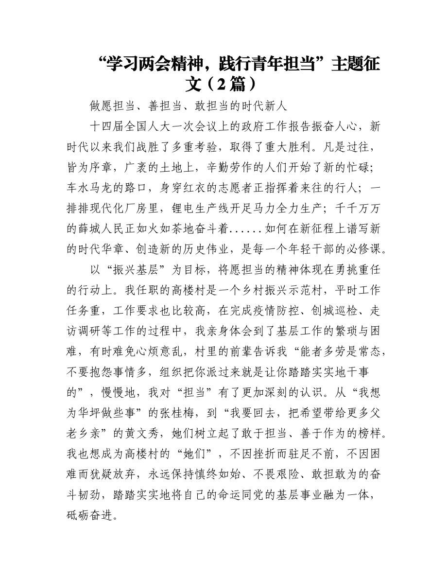 2023年(2篇)“学习两会精神践行青年担当”主题征文.docx_第1页