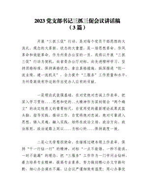 （3篇）2023党支部书记三抓三促会议讲话稿.docx