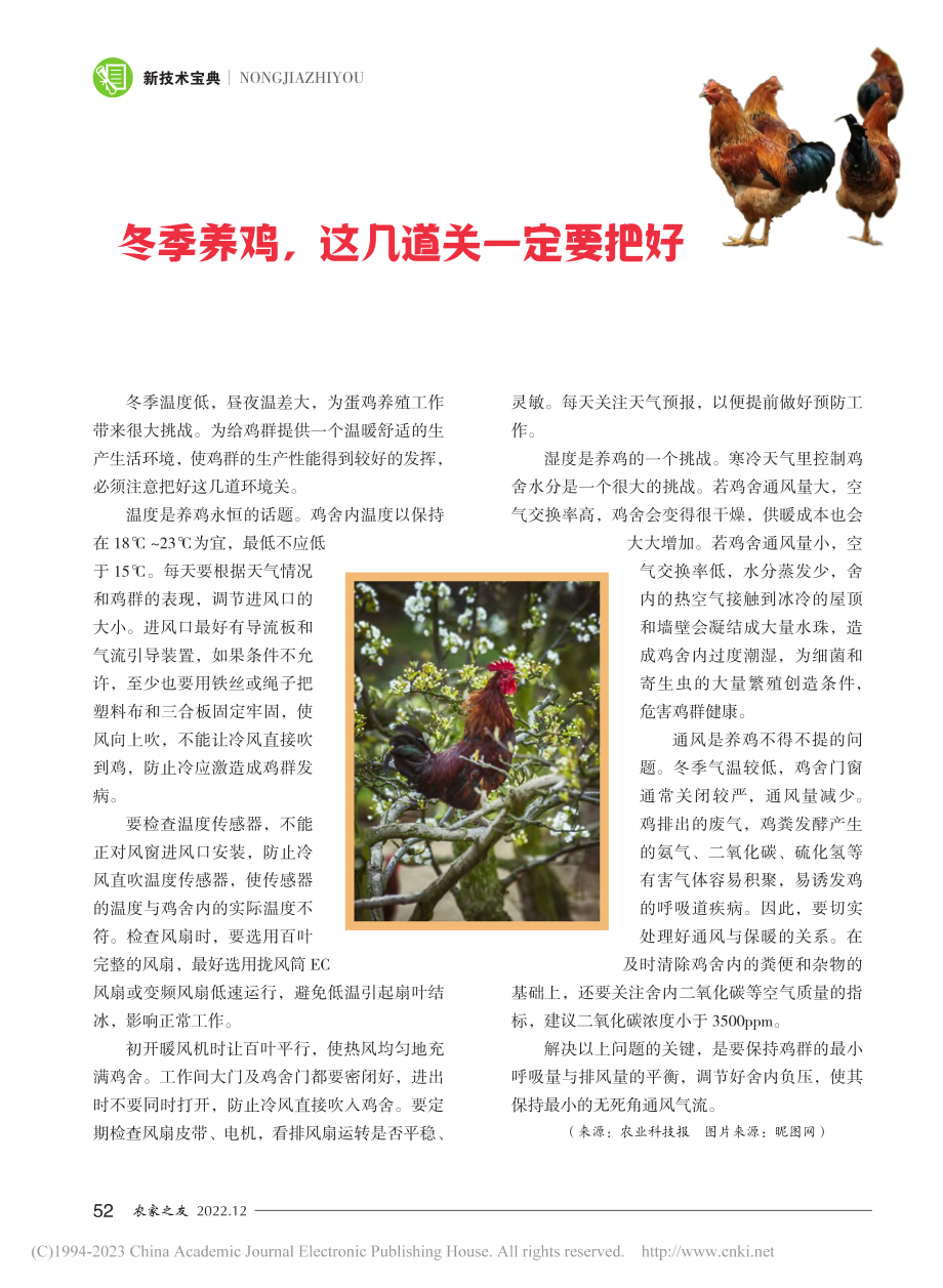 冬季养鸡这几道关一定要把好.pdf_第1页