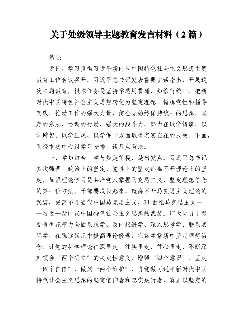 2023年（2篇）关于处级领导主题教育发言材料.docx_第1页