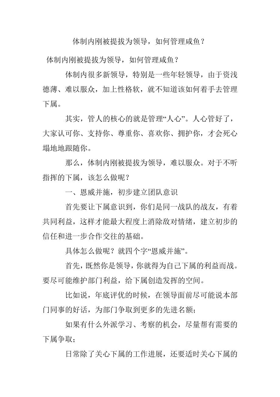 体制内刚被提拔为领导如何管理咸鱼？.docx_第1页