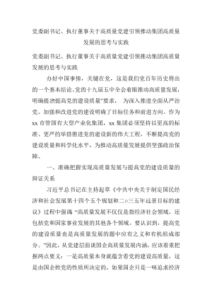 党委副书记、执行董事关于高质量党建引领推动集团高质量发展的思考与实践.docx