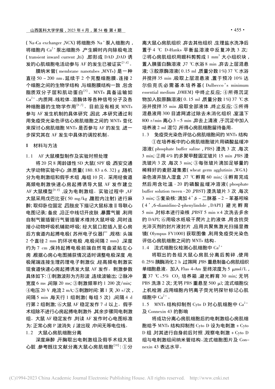 Connexin_43-膜...途径参与房颤发生的机制研究_王婷.pdf_第2页