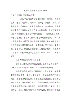 传承红色基因坚定初心使命.docx