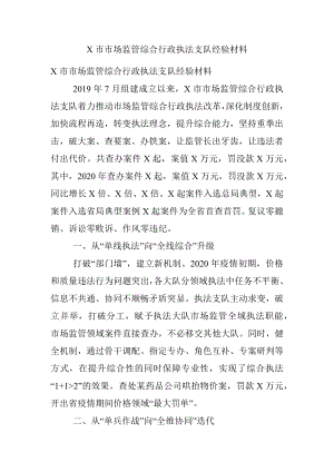 X市市场监管综合行政执法支队经验材料.docx