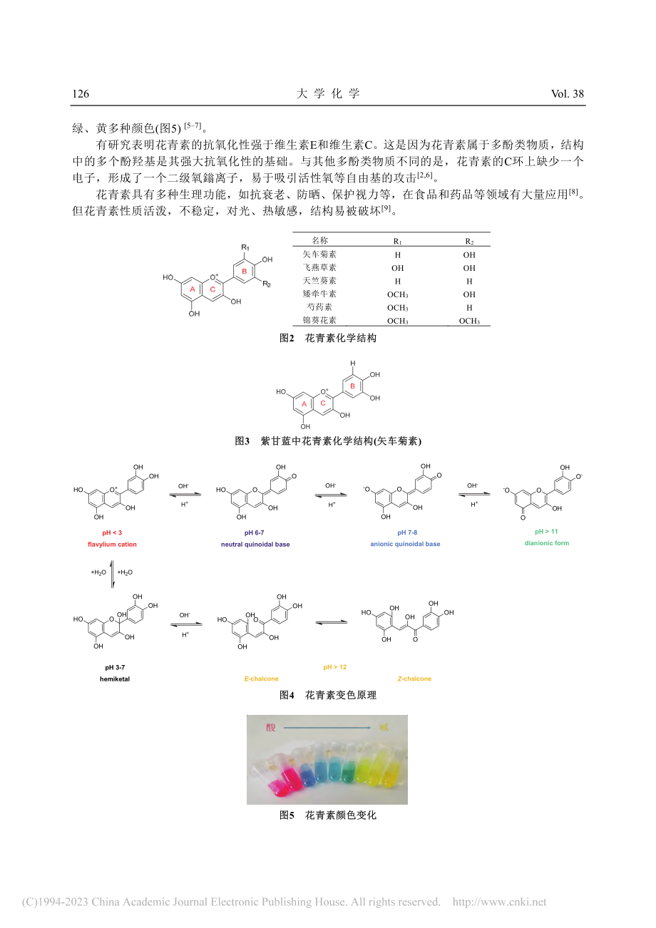 姹紫嫣红与花青素的浪漫邂逅_郭笑汝.pdf_第3页