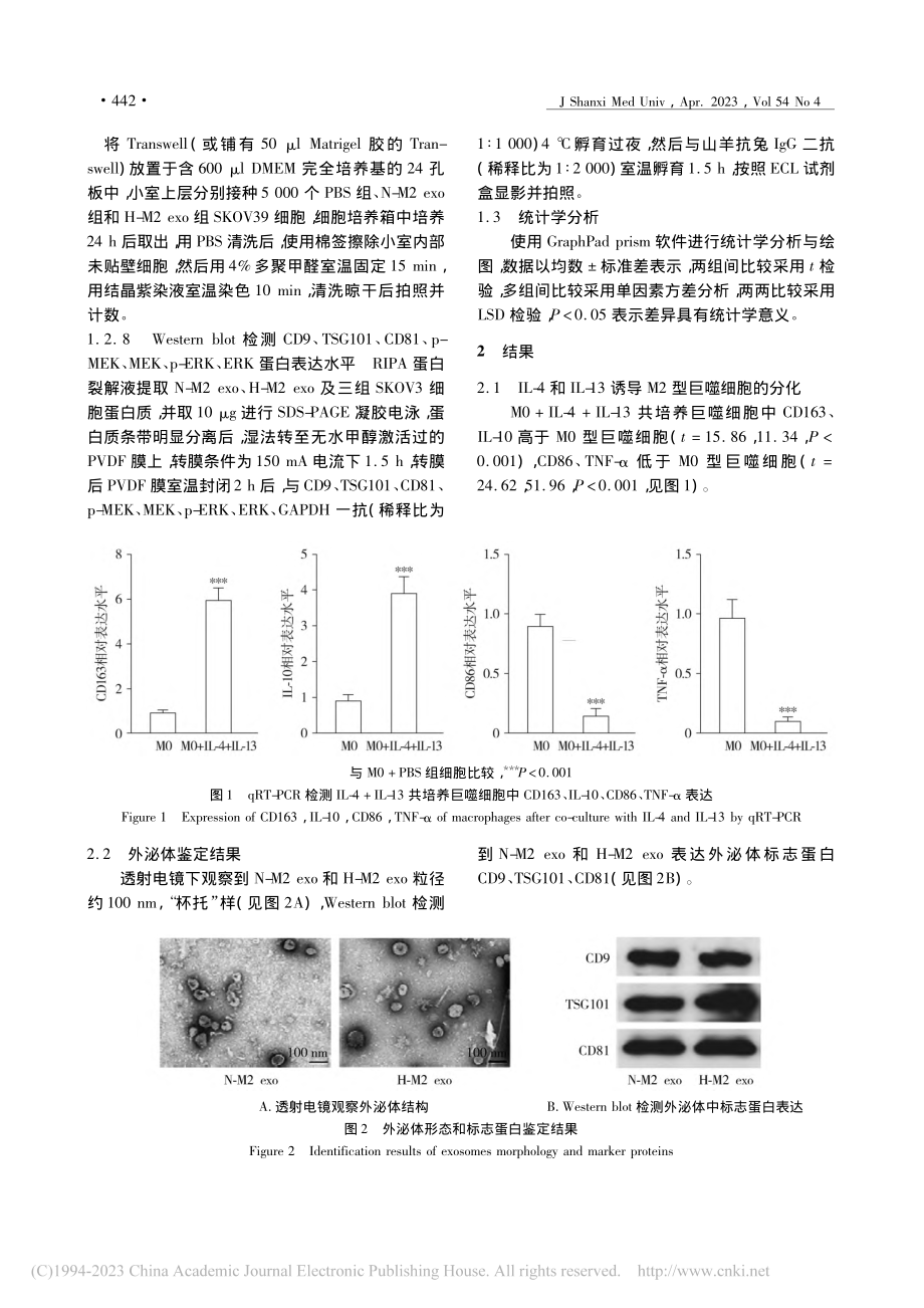 低氧条件下M2型巨噬细胞外...恶性生物学行为的影响及机制_苏英.pdf_第3页