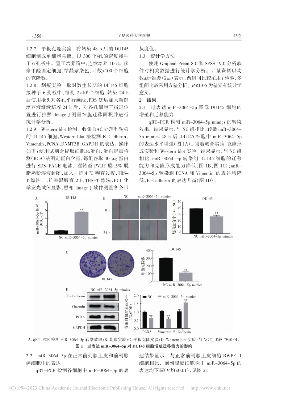 地西他滨通过甲基化调控DU...iR-3064-5p的表达_杨晓莹.pdf_第3页